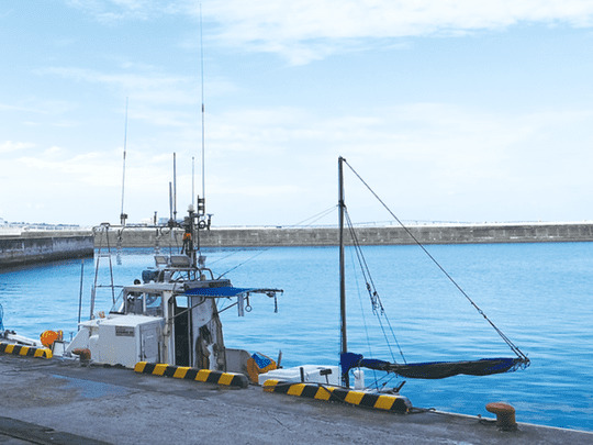 宮古島漁業協同組合