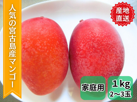 【発送可能】家庭用マンゴー 1kg