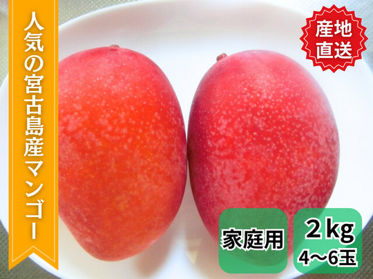 【発送可能】家庭用マンゴー 2kg