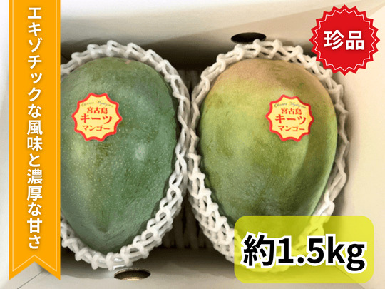 【先行予約】宮古島産　キーツマンゴー約1.5kg