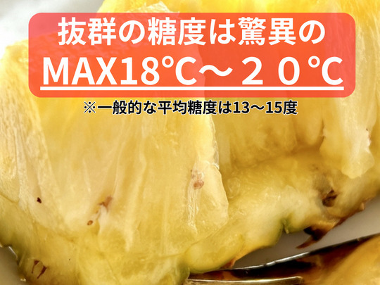 《MAX糖度20℃》石垣島産大玉ゴールドパイン　7㎏（5～7個）