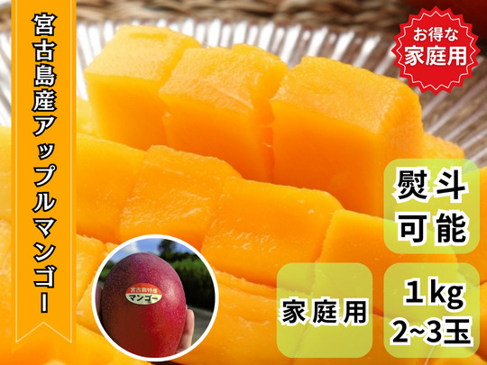 【先行予約】宮古島産マンゴー(アップルマンゴー)家庭用 １キロ（2～3玉）