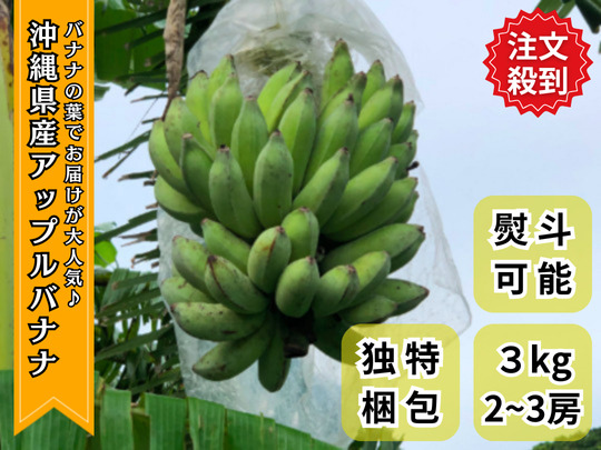 大人気！沖縄産アップルバナナ 2~ 3房・計３kg